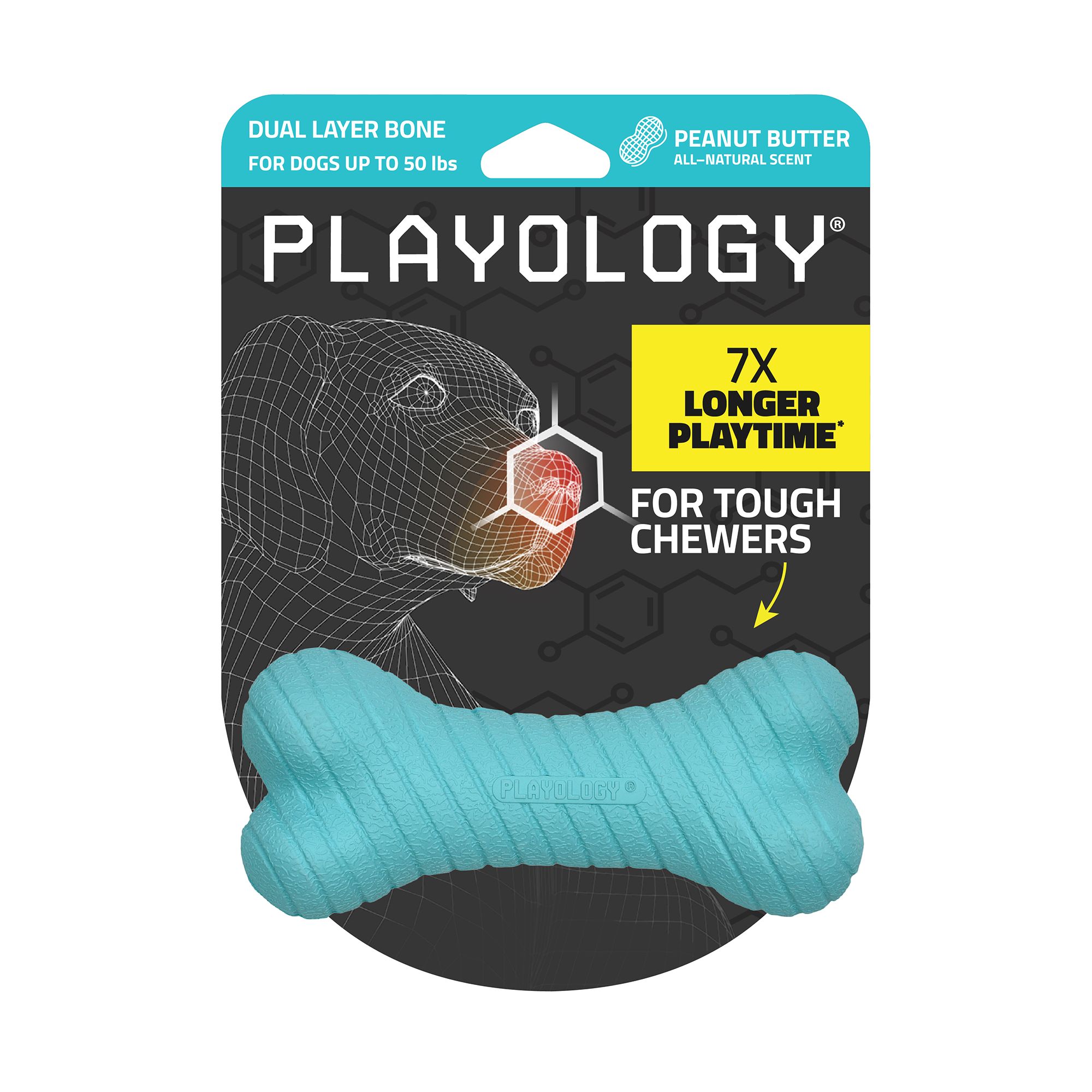Playology Dual Layer Bone Peanut Butter Scent Chew Dog Toy in Blue, Size: Medium | PetSmart