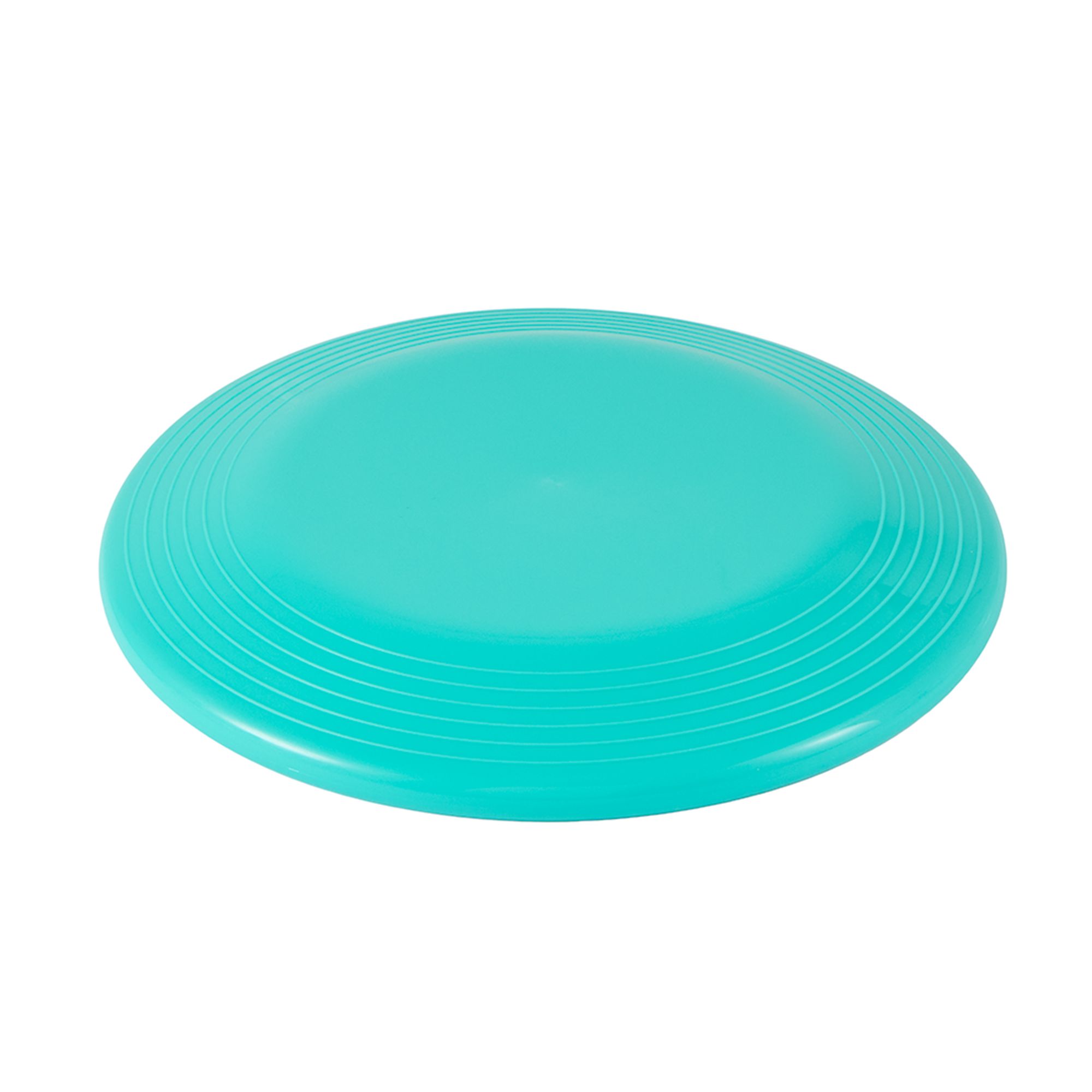 Joyhound Flyer Dog Toy in Teal | PetSmart