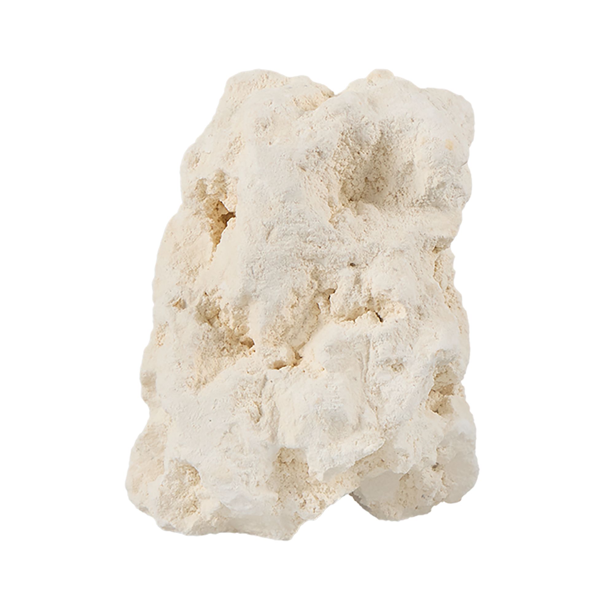 All Living Things® Bird Beak Conditioning Stone (1 Count)