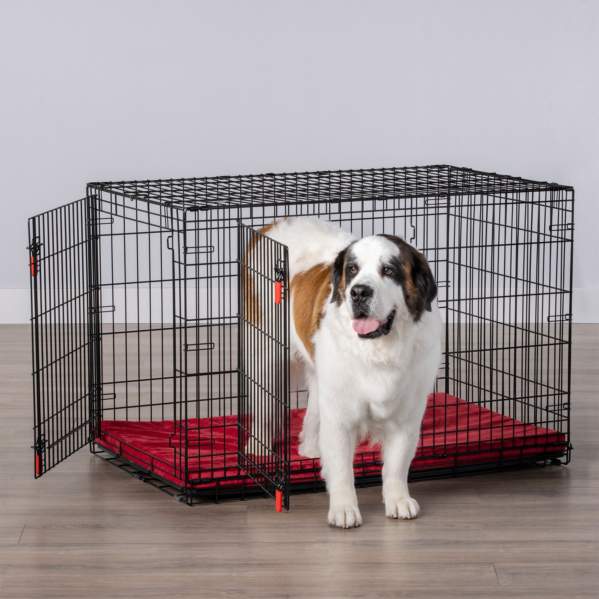 KONG Ultra-Strong Two Door Crate in Black, Size: 48"L x 31"W 32"H | PetSmart