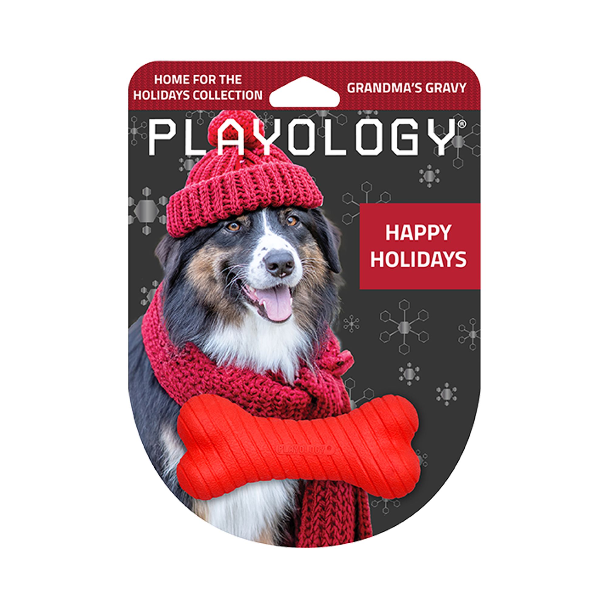 Playology Holiday Grandma's Gravy Scented Dual Layer Bone Dog Toy, Small in Red | PetSmart