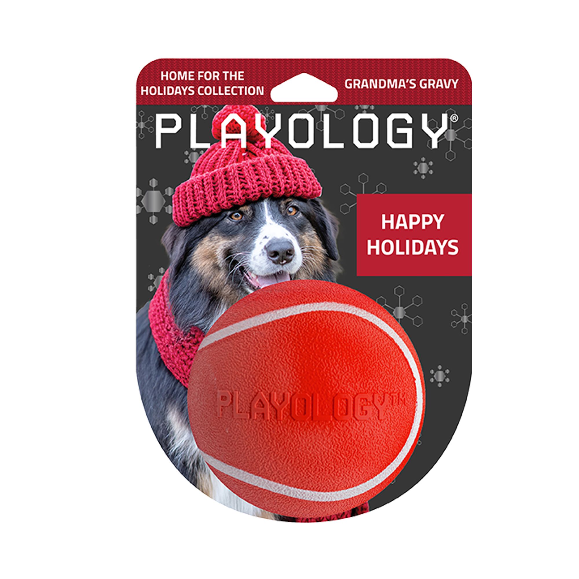 Playology Holiday Grandma's Gravy Scented Squeaky Chew Ball Dog Toy, Jumbo in Red | PetSmart