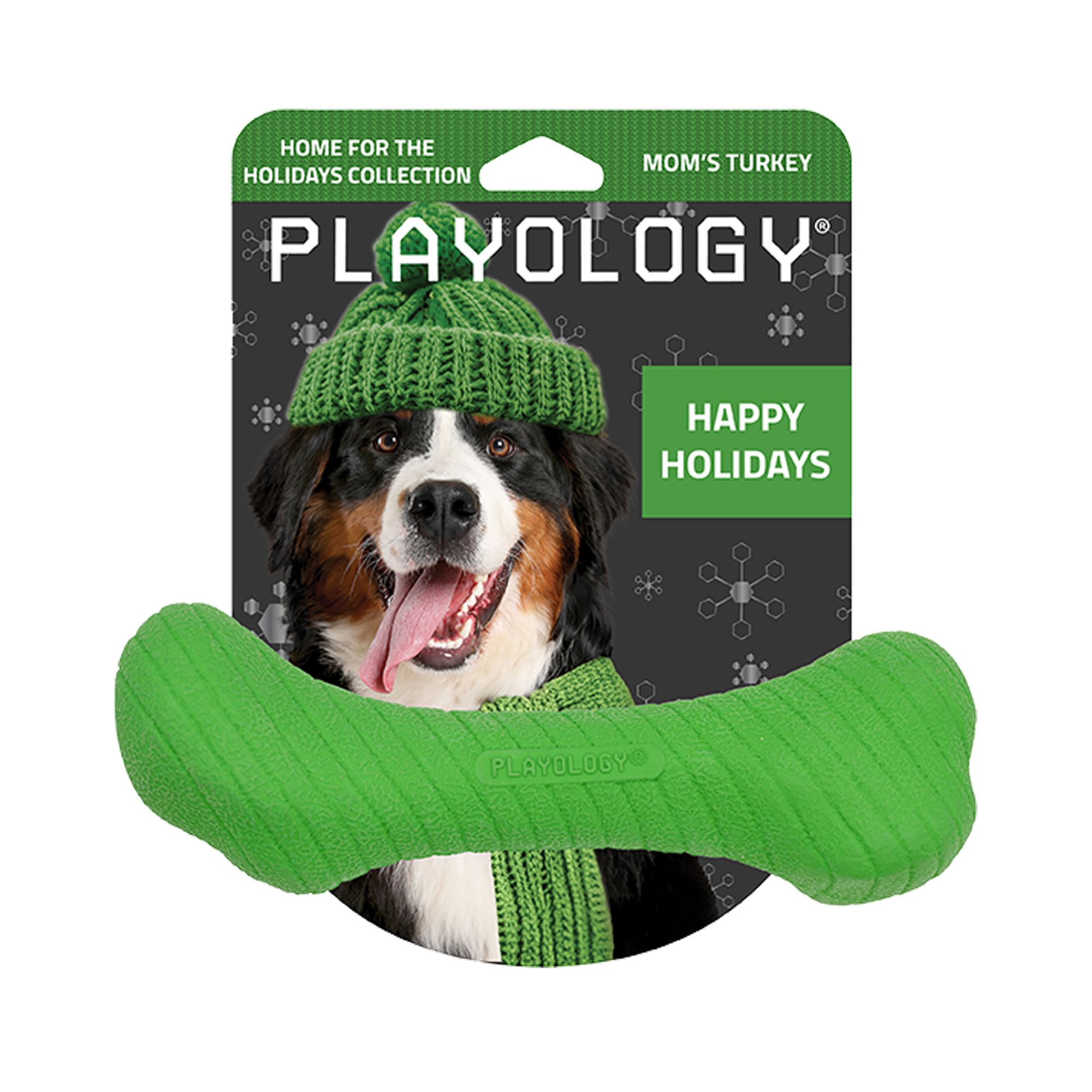 Playology Holiday Mom's Turkey Scented Crunch Bone Dog Toy, Jumbo in Green | PetSmart