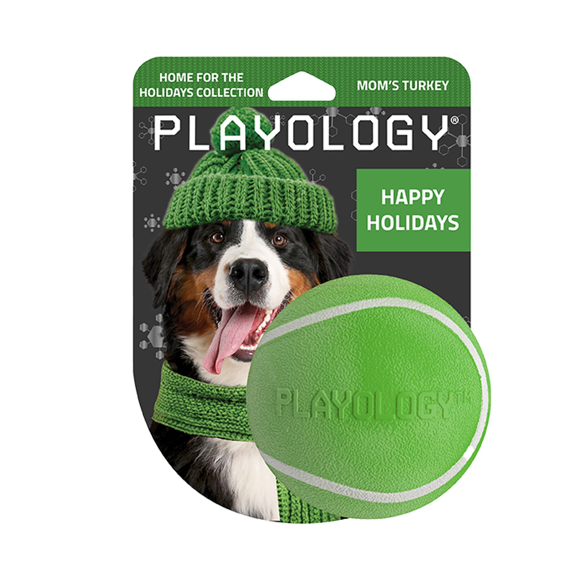 Playology Holiday Mom's Turkey Scented Squeaky Chew Ball Dog Toy, Jumbo in Green | PetSmart