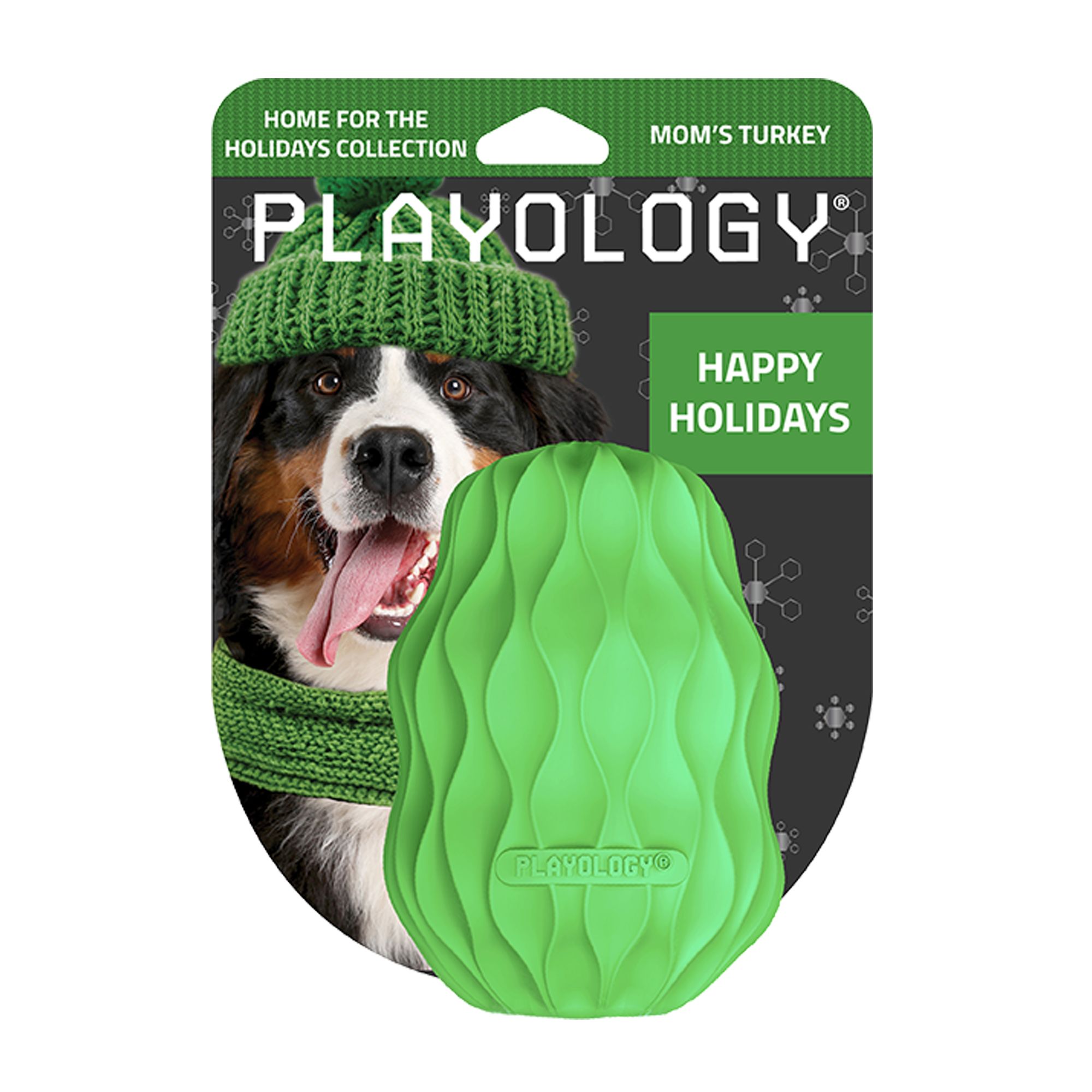 Playology Holiday Mom's Turkey Scented Squeaky Pinecone Dog Toy, Jumbo in Green | PetSmart
