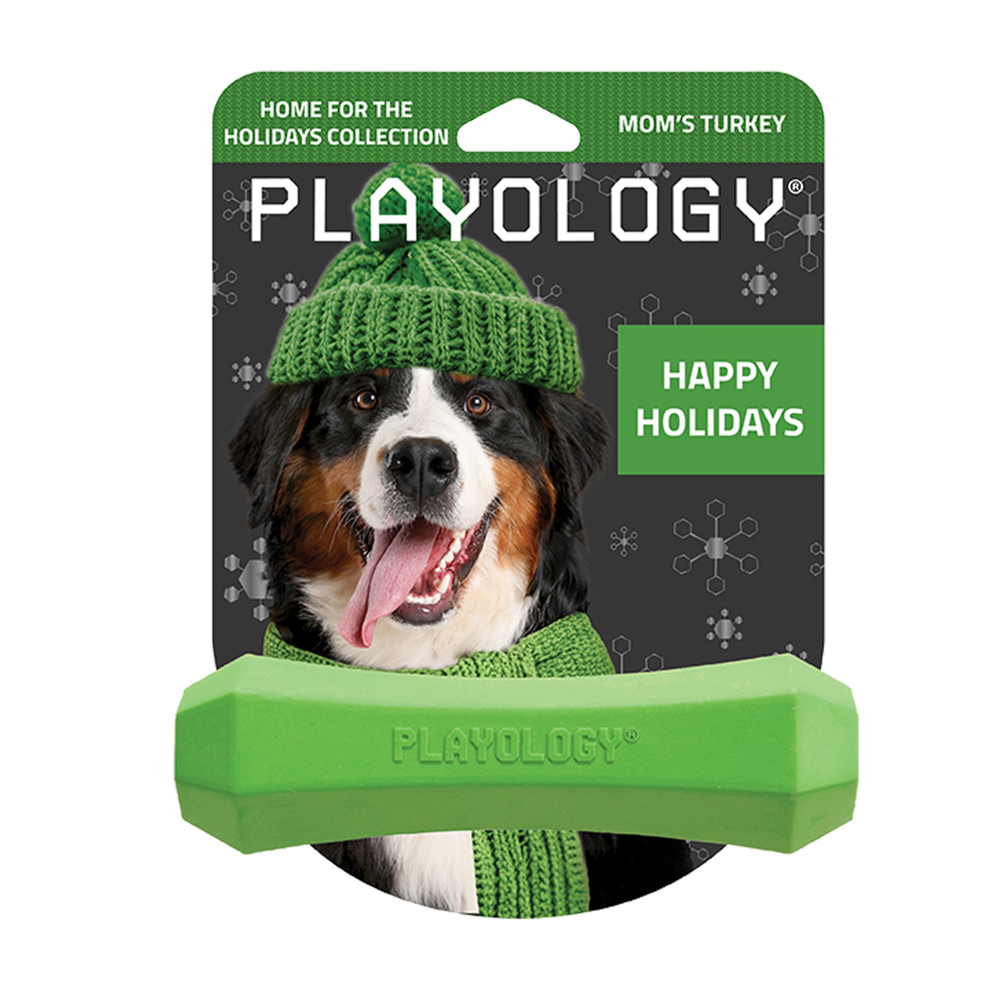 Playology Holiday Mom's Turkey Scented Squeaky Chew Stick Dog Toy, Medium in Green | PetSmart