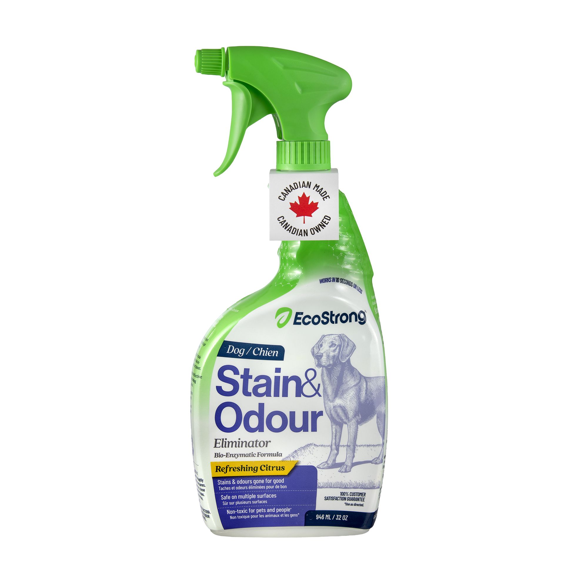 EcoStrong Dog Stain & Odour Elimiantor (32 Fl Oz)