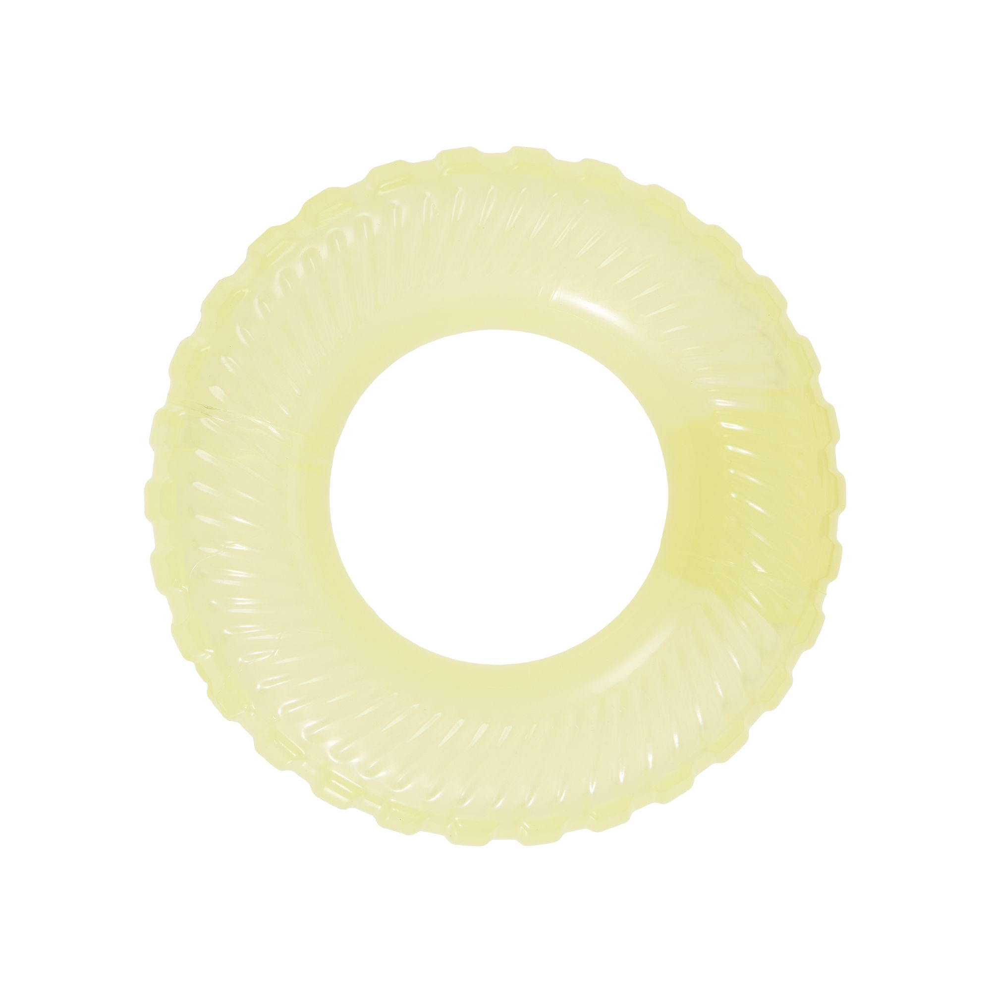 Arcadia Trail® Glow-in-the-Dark Ring Dog Toy