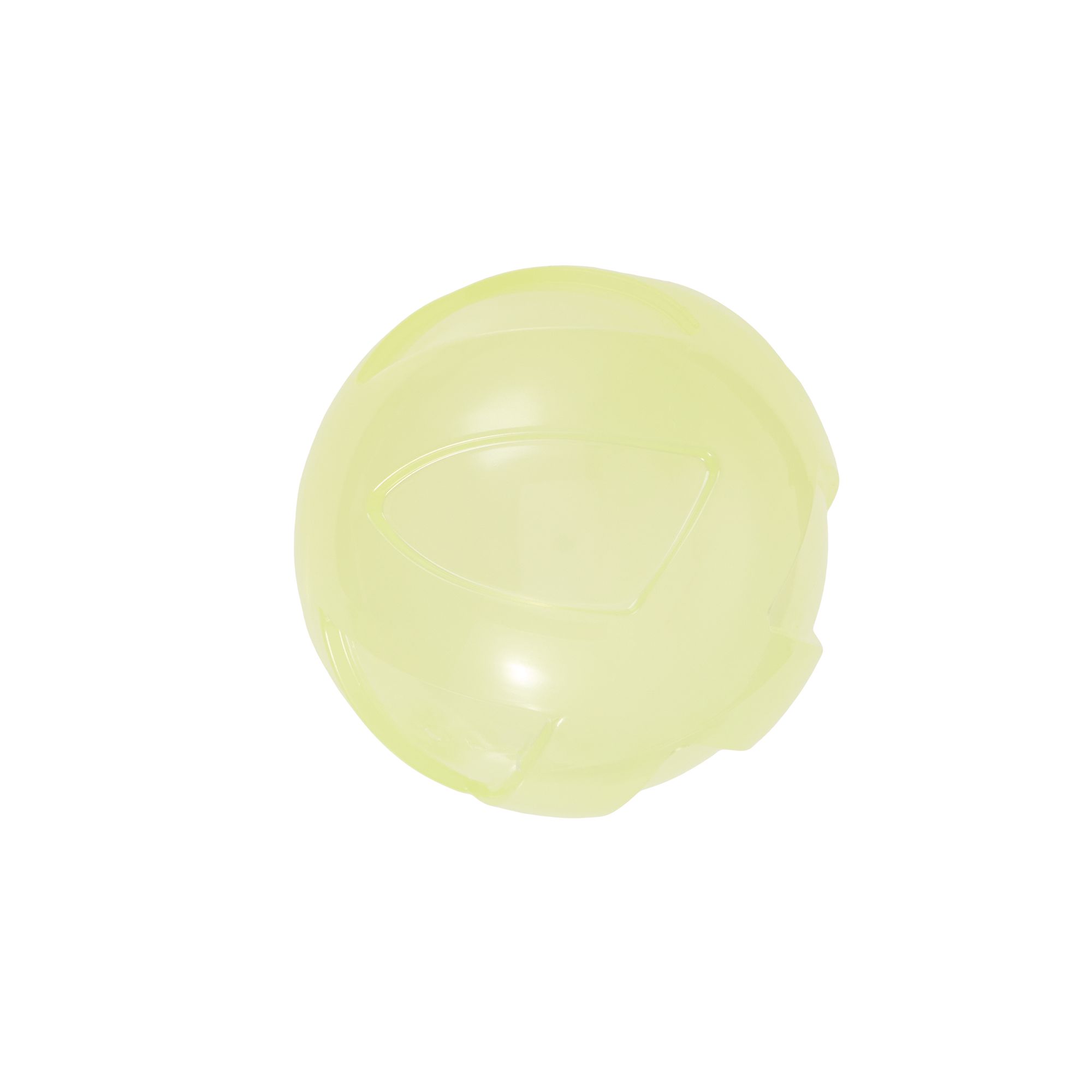 Arcadia Trail® Glow-in-the-Dark Dog Toy