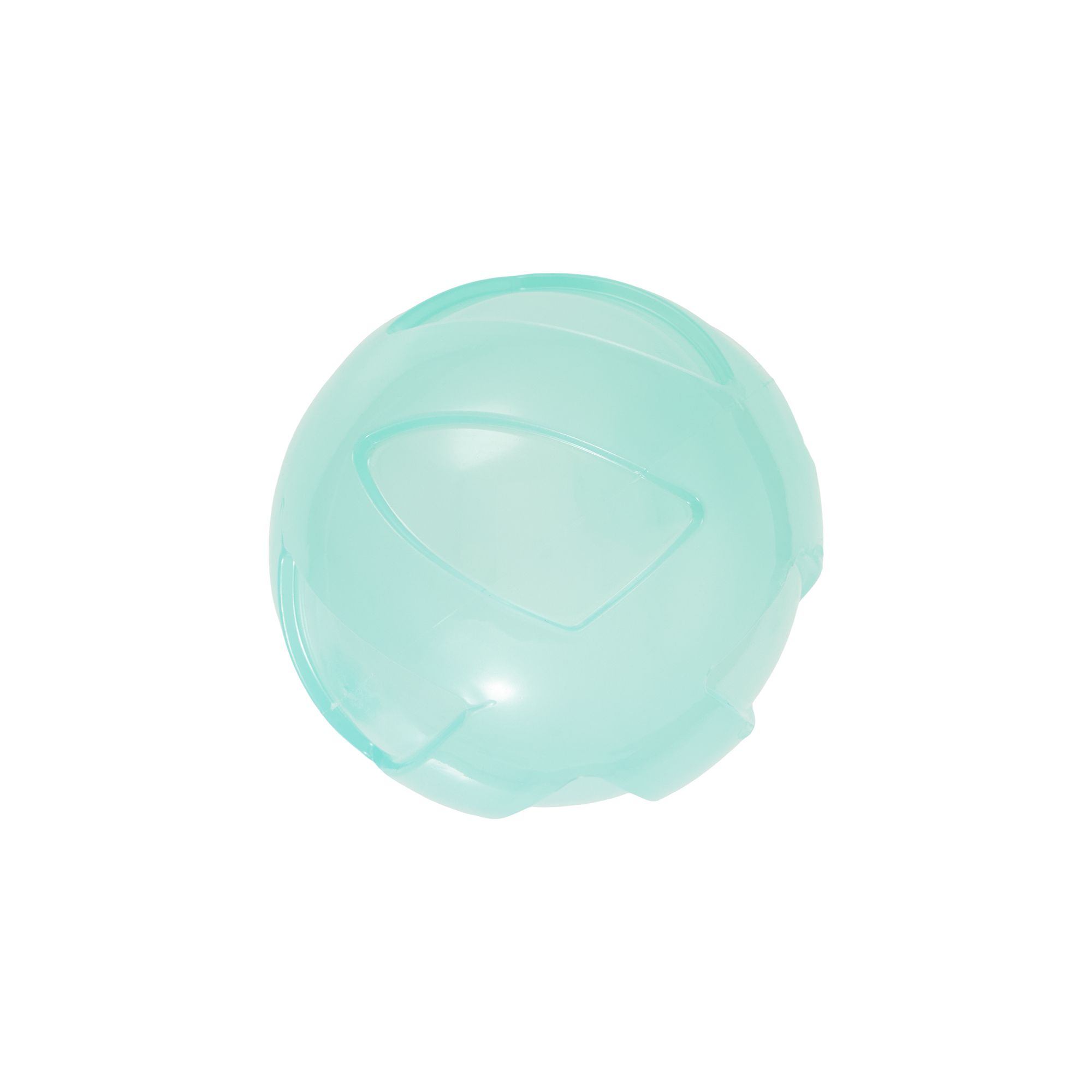 Arcadia Trail® Glow-in-the-Dark Dog Toy