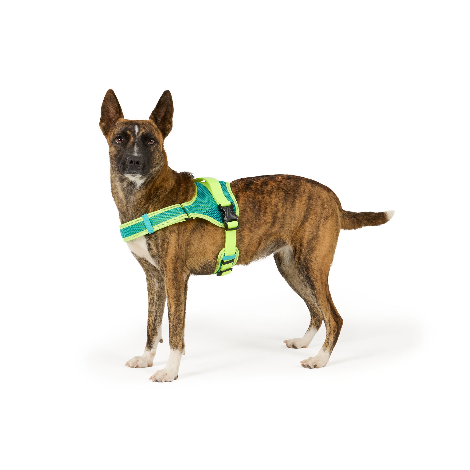 Arcadia Trail®  Mesh Harness Dog (Large)