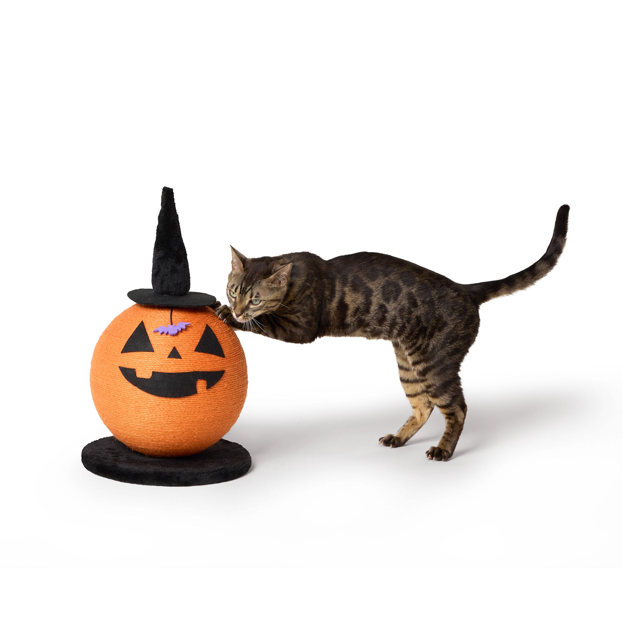 Thrills & Chills® Halloween Pumpkin Witch Cat Scratching Post 11.8 IN L X 11.8 IN W