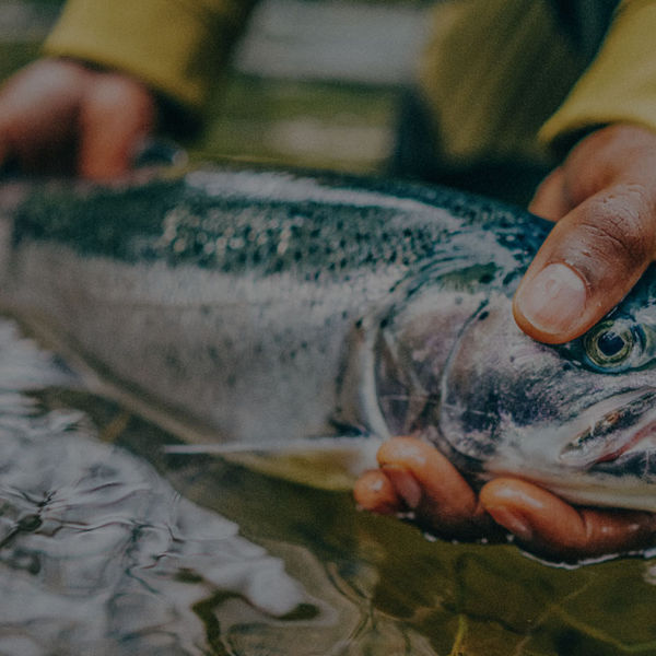 Striper Fishing 101