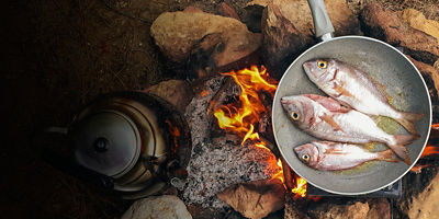 Fish being cooked in a ban over a campfire