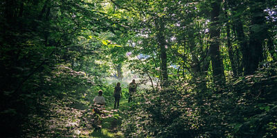 Hikers walk in the forest during a birding course