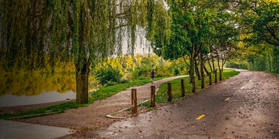 A runner along the path at Olentangy Trails in front of Antrim Lake. 