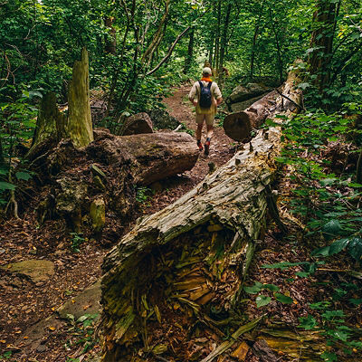A man hikes on the Whiteoak Canyon  Trail, Shenandoah National Park, Virginia.