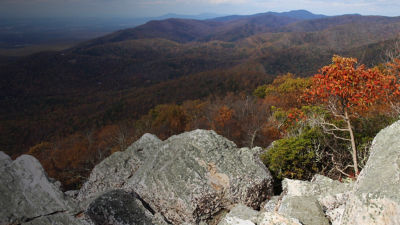 A view from the summit of Turk Mountain overlooking the southern part of Shenandoah National Park, Virginia in the fall