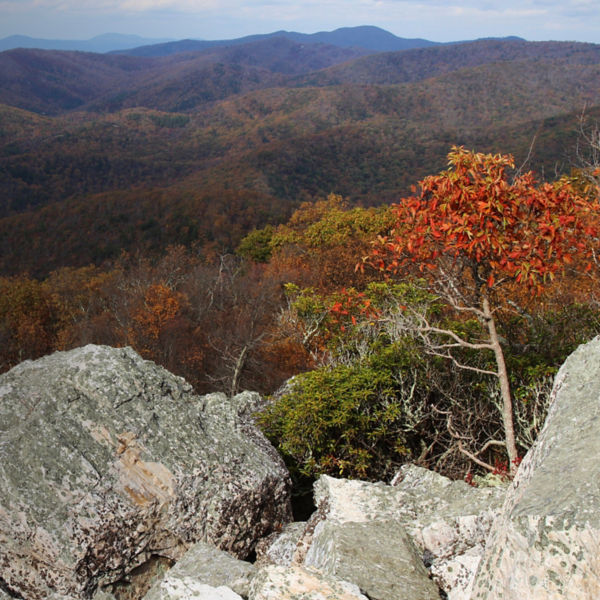 A view from the summit of Turk Mountain overlooking the southern part of Shenandoah National Park, Virginia in the fall