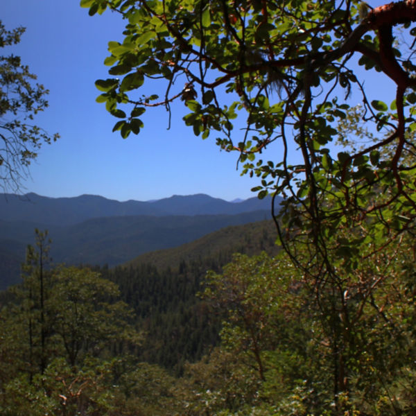 A view from the Sterling Mine Ditch Trail