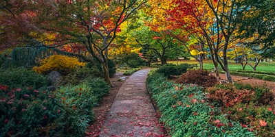 A path with fall colors in  Lithia Park
