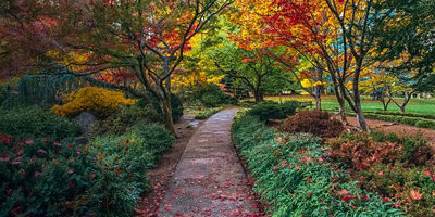 A path with fall colors in  Lithia Park