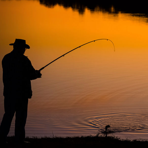 A man fishing from the shore at sunset