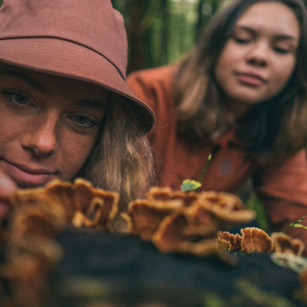 Two women look at wild mushrooms