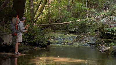 A fly fisherman fishing for brook trout in Virginia