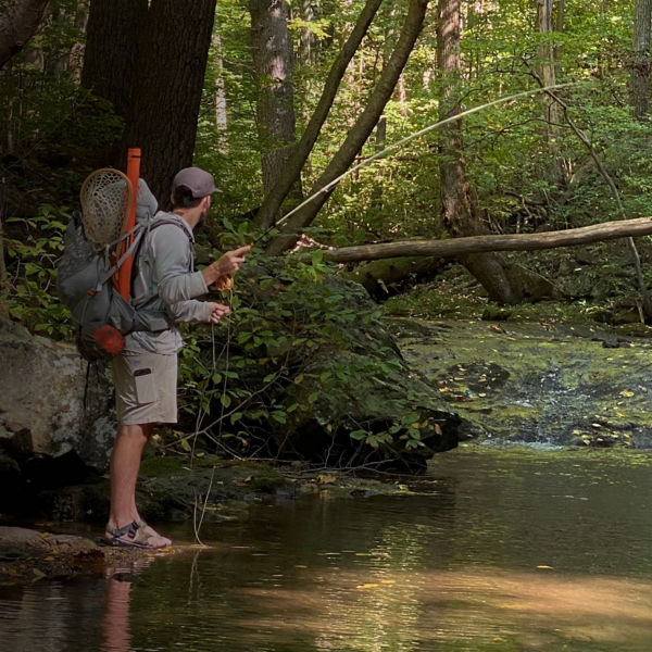 A fly fisherman fishing for brook trout in Virginia