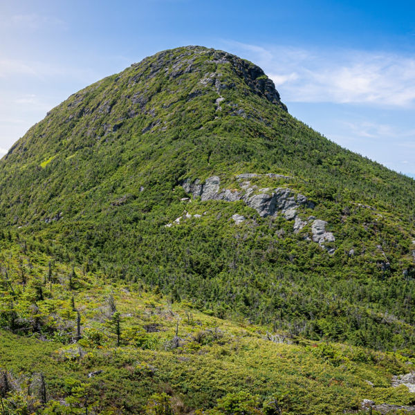 The green landscape of Mount Mansfield in Vermont