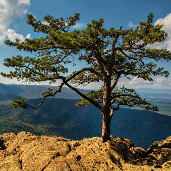 Virginia Raven’s Roost is a well known rock climbing spot