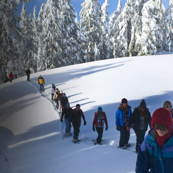 Visitors on a Ranger-Led Snowshoe Walk at Crater Lake National Park