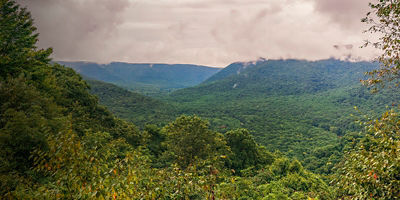 Scenic view from Baughman Rock Overlook. Ohiopyle State Park. Pennsylvania. USA