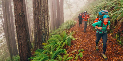 Backpackers hike on a trail through a foggy forest on the Lost Coast Trail in Sinkyone Wilderness State Park in Northern California.