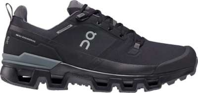 On Cloudwander hiking shoe.