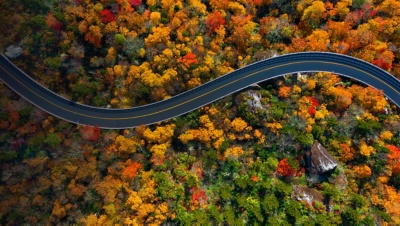 Blue Ridge Parkway in North Carolina in Fall colors. Looking straight down at the road.