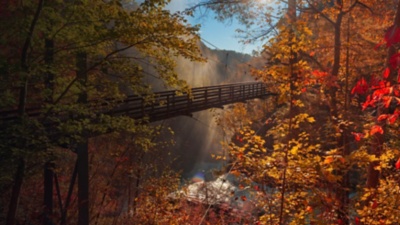 Tallulah Falls, Georgia, overlooking Tallulah Gorge