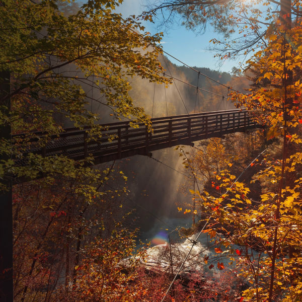 Tallulah Falls, Georgia, overlooking Tallulah Gorge