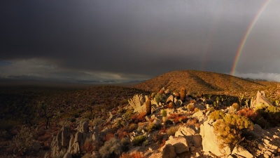 The view from Kim Garrison-Means's cabin lookin at Avi Kwa Ame