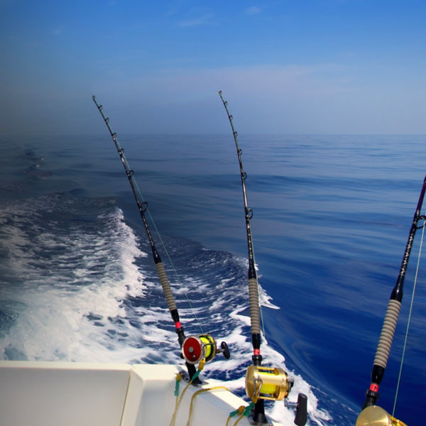 boat fishing trolling panoramic rod and reels blue sea wake