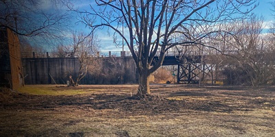 Future Valentine Conservation Community park site  landscape with a tree grass and mud
