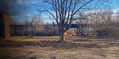 Future Valentine Conservation Community park site  landscape with a tree grass and mud