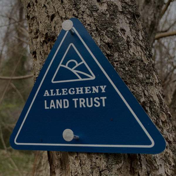 5 Things to do in Allegheny Land Trust Green Spaces