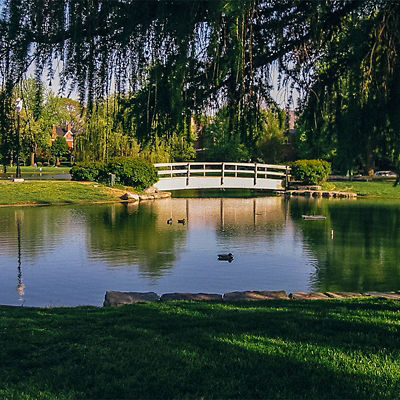 A view of Schiller pond