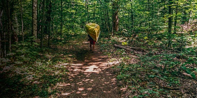 A person portages their canoe through the forest