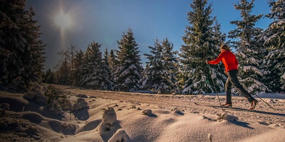 A women cross-country skiing in the sunny wintry forest