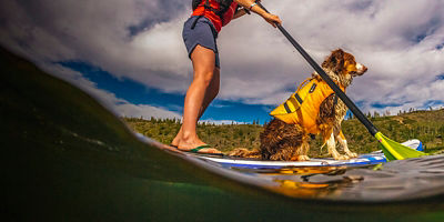 A woman and her dog paddleboarding on Dillon Reservoir near Silverthorne Colorado.