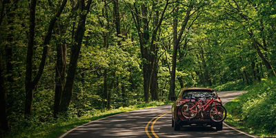 A car driving through a forest road with a trunk bike rack