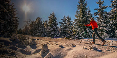 A women cross-country skiing in the sunny wintry forest